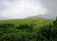 Vagamon